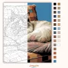 Alvó Ragdoll Macska - számfestő készlet - Számfestő.hu - 60×70cm - Keret nélkül
