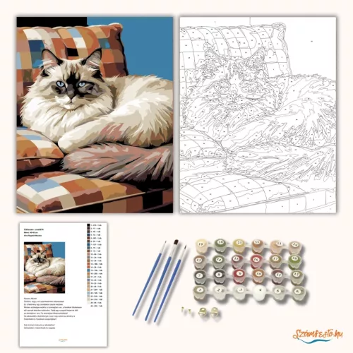 Alvó Ragdoll Macska - számfestő készlet - Számfestő.hu - 80×100cm - Keret nélkül