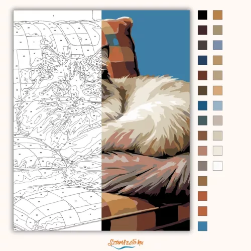 Alvó Ragdoll Macska - számfestő készlet - Számfestő.hu - 40×50cm - Keret nélkül