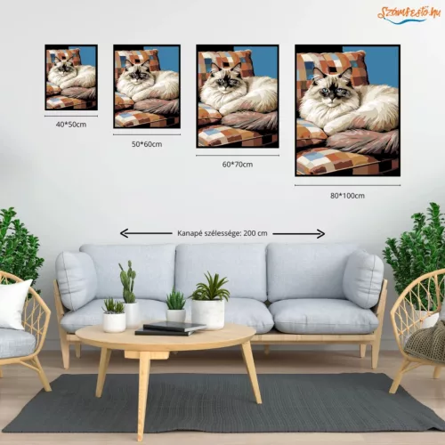 Alvó Ragdoll Macska - számfestő készlet - Számfestő.hu - 40×50cm - Keret nélkül