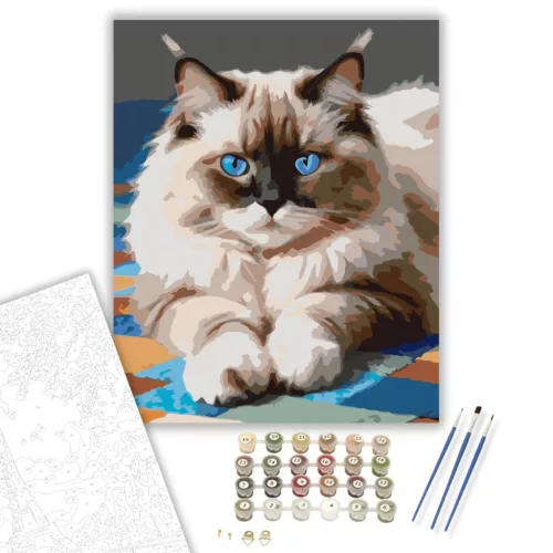 Ragdoll Macska Kék Szemekkel - számfestő készlet - Számfestő.hu - 60×70cm - keretre feszítve