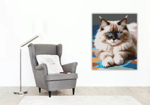 Ragdoll Macska Kék Szemekkel - számfestő készlet - Számfestő.hu - 40×50cm - keret nélkül