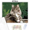 Büszke Maine Coon a Kerítésen - számfestő készlet - Számfestő.hu - 40×50cm - Keretre feszítve