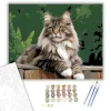 Büszke Maine Coon a Kerítésen - számfestő készlet - Számfestő.hu - 50×60cm - keret nélkül