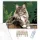 Büszke Maine Coon a Kerítésen - számfestő készlet - Számfestő.hu - 40×50cm - keret nélkül