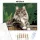 Büszke Maine Coon a Kerítésen - számfestő készlet - Számfestő.hu - 40×50cm - Keretre feszítve