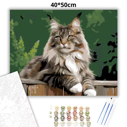 Büszke Maine Coon a Kerítésen - számfestő készlet - Számfestő.hu - 40×50cm - Keretre feszítve