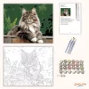Büszke Maine Coon a Kerítésen - számfestő készlet - Számfestő.hu - 40×50cm - Keretre feszítve