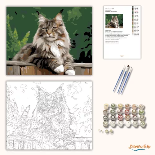 Büszke Maine Coon a Kerítésen - számfestő készlet - Számfestő.hu - 40×50cm - Keret nélkül