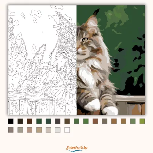 Büszke Maine Coon a Kerítésen - számfestő készlet - Számfestő.hu - 40×50cm - Keretre feszítve