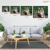Büszke Maine Coon a Kerítésen - számfestő készlet - Számfestő.hu - 40×50cm - Keretre feszítve