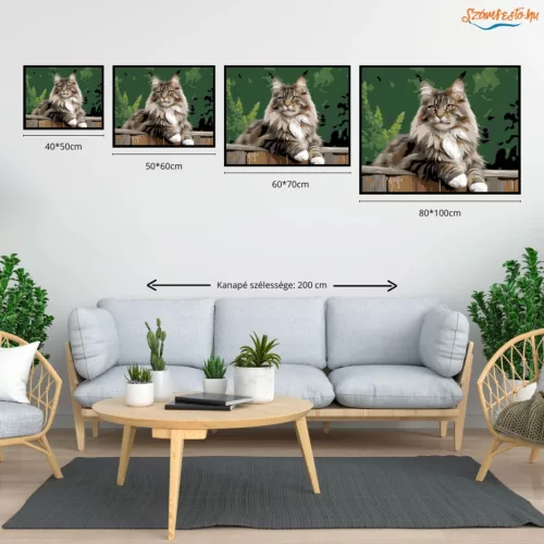 Büszke Maine Coon a Kerítésen - számfestő készlet - Számfestő.hu - 40×50cm - Keretre feszítve