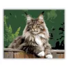 Büszke Maine Coon a Kerítésen - számfestő készlet - Számfestő.hu - 40×50cm - Keretre feszítve