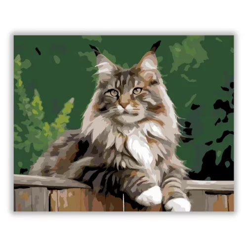 Büszke Maine Coon a Kerítésen - számfestő készlet - Számfestő.hu - 40×50cm - Keret nélkül