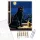Éjszakai Fekete Macska Ablakban - számfestő készlet - Számfestő.hu - 80×100cm - keretre feszítve