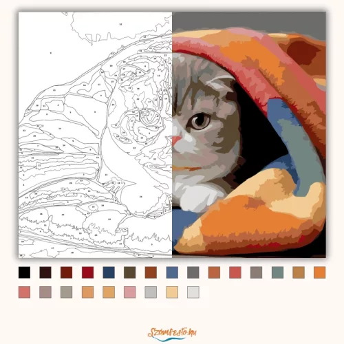Alvó Skót Lógófülű Macska Színes Takarón - számfestő készlet - Számfestő.hu - 80×100cm - Keret nélkül