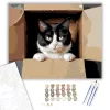 Kíváncsi Tuxedo Macska Dobozban - számfestő készlet - Számfestő.hu - 60×70cm - keret nélkül