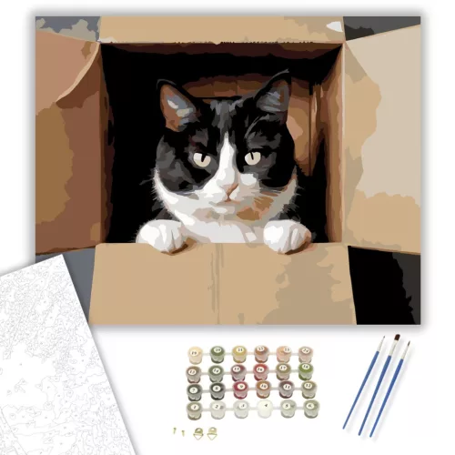 Kíváncsi Tuxedo Macska Dobozban - számfestő készlet - Számfestő.hu - 50×60cm - keretre feszítve