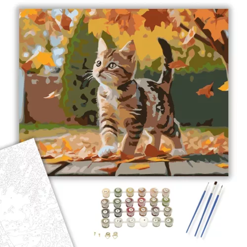 Játékos Cirmos Kiscica Őszi Levélhullásban - számfestő készlet - Számfestő.hu - 50×60cm - keretre feszítve