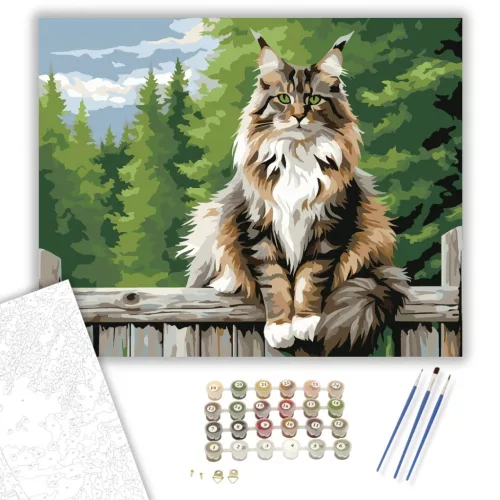 Büszke Maine Coon a Kerítésen - számfestő készlet - Számfestő.hu - 60×70cm - keret nélkül