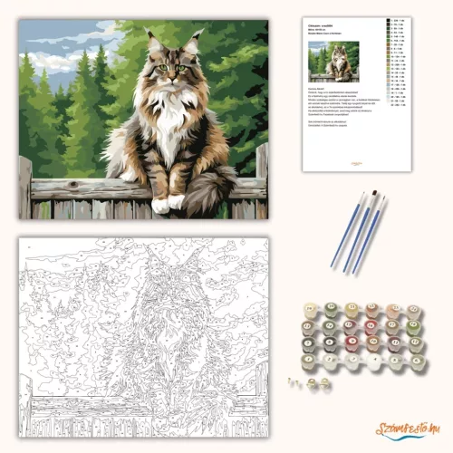 Büszke Maine Coon a Kerítésen - számfestő készlet - Számfestő.hu - 40×50cm - Keretre feszítve