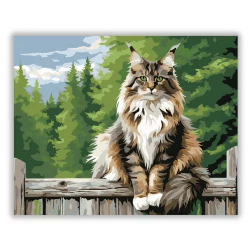 Büszke Maine Coon a Kerítésen - számfestő készlet - Számfestő.hu - 40×50cm - Keret nélkül