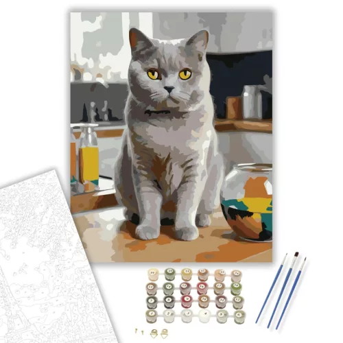 British Shorthair Macska a Konyhapulton - számfestő készlet - Számfestő.hu - 50×60cm - keret nélkül