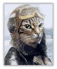 Macska pilóta - számfestő készlet