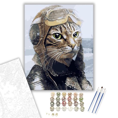 Macska pilóta - számfestő készlet - Számfestő.hu - 60×70cm - keretre feszítve