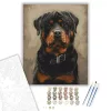 Rottweiler - számfestő készlet - Számfestő.hu - 40×50cm - keret nélkül