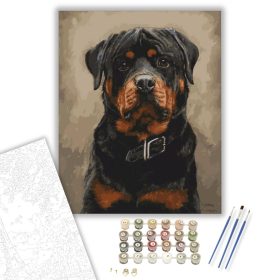 Rottweiler - számfestő készlet - Számfestő.hu - 40×50cm - keret nélkül