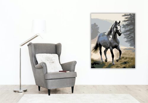Szürke Ló a Ködös Völgyben - számfestő készlet - Számfestő.hu - 50×60cm - keret nélkül