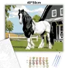 Gypsy Vanner Ló a Farm Előtt - számfestő készlet - Számfestő.hu - 40×50cm - Keret nélkül