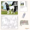 Gypsy Vanner Ló a Farm Előtt - számfestő készlet - Számfestő.hu - 40×50cm - Keret nélkül