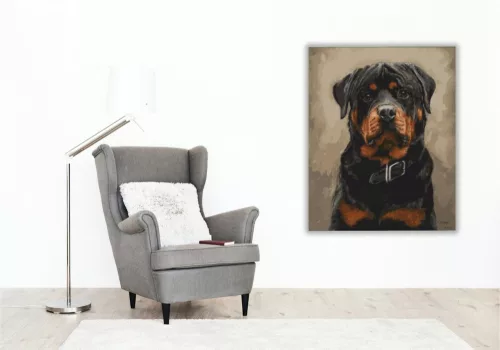 Rottweiler - számfestő készlet - Számfestő.hu - 60×70cm - keretre feszítve