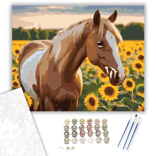 Palomino Ló Napraforgók Között - számfestő készlet - Számfestő.hu - 40×50cm - keret nélkül