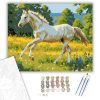 Játékos Csikó a Vadvirágos Rétben - számfestő készlet - Számfestő.hu - 40×50cm - keret nélkül