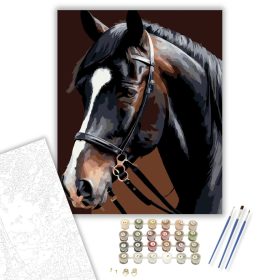 Fríz Ló Közeli Portré - számfestő készlet - Számfestő.hu - 40×50cm - keret nélkül