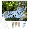 Fekvő tigris - számfestő készlet - Számfestő.hu - 60×70cm - keretre feszítve