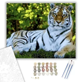 Fekvő tigris - számfestő készlet - Számfestő.hu - 40×50cm - keret nélkül
