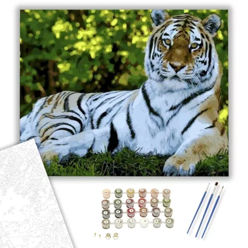 Fekvő tigris - számfestő készlet - Számfestő.hu - 60×70cm - keret nélkül