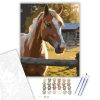 Palomino Ló a Hajnalban - számfestő készlet - Számfestő.hu - 60×70cm - keret nélkül