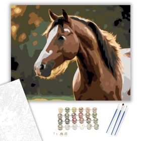 Pezsgő Pej Ló Naplementében - számfestő készlet - Számfestő.hu - 40×50cm - keret nélkül