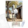 Szürke Ló az Istállónál - számfestő készlet - Számfestő.hu - 40×50cm - keret nélkül