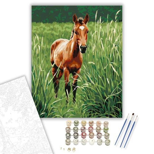 Kíváncsi Pej Csikó a Rétben - számfestő készlet - Számfestő.hu - 40×50cm - keret nélkül