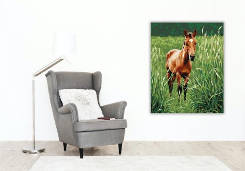 Kíváncsi Pej Csikó a Rétben - számfestő készlet - Számfestő.hu - 40×50cm - keret nélkül
