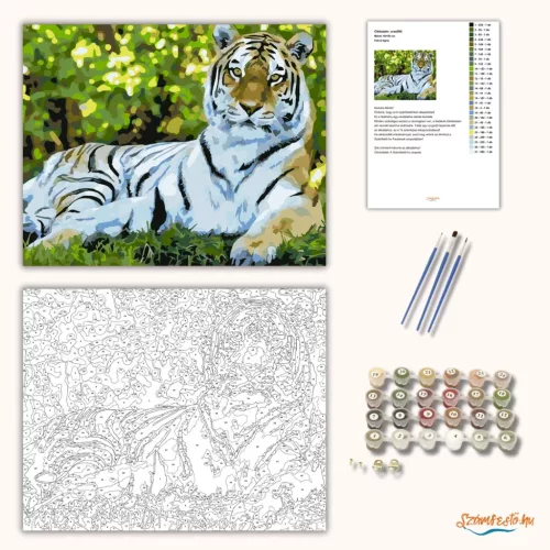 Fekvő tigris - számfestő készlet - Számfestő.hu - 40×50cm - Keretre feszítve