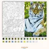 Fekvő tigris - számfestő készlet - Számfestő.hu - 40×50cm - Keretre feszítve