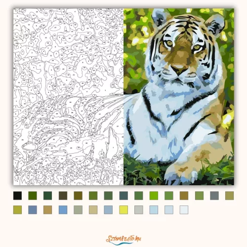 Fekvő tigris - számfestő készlet - Számfestő.hu - 40×50cm - Keretre feszítve