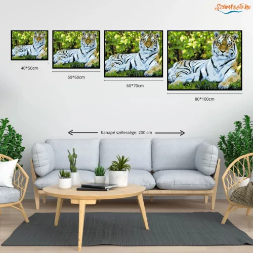 Fekvő tigris - számfestő készlet - Számfestő.hu - 40×50cm - Keretre feszítve